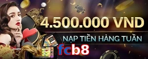 fcb8