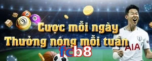 fcb8